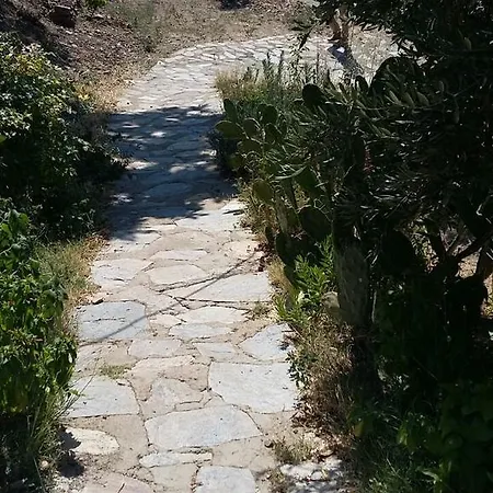 منزل للإقامة Oz Garden سلجوك