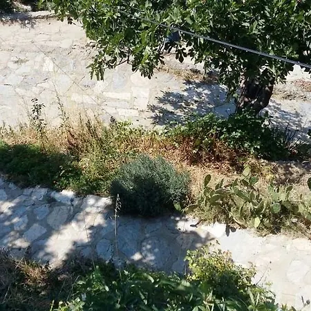 منزل للإقامة Oz Garden *