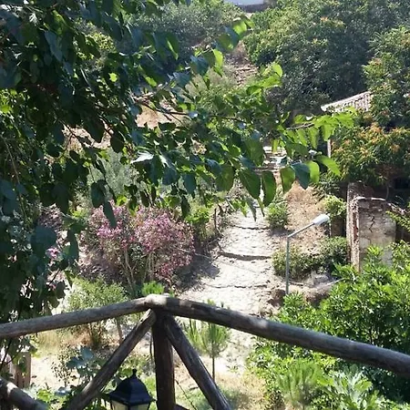 Oz Garden سلجوك