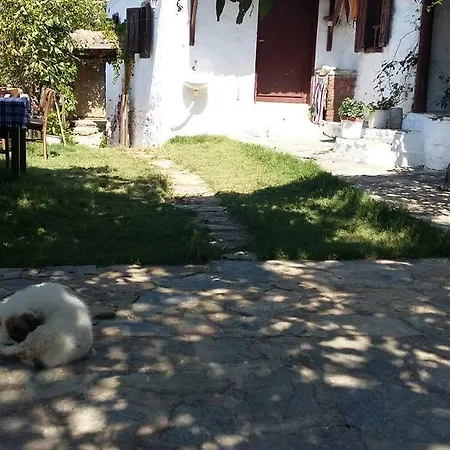 منزل للإقامة Oz Garden سلجوك