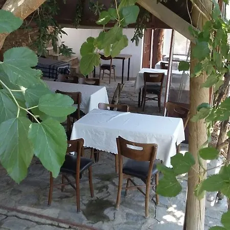 Oz Garden سلجوك