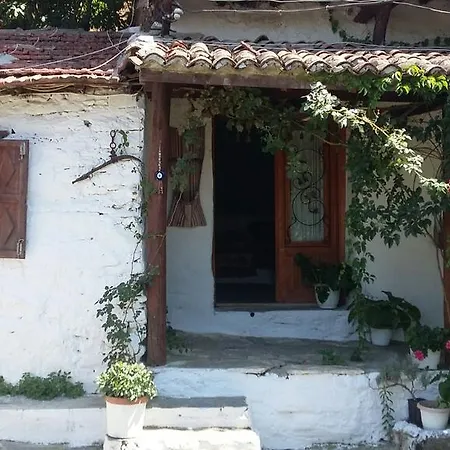 منزل للإقامة Oz Garden سلجوك